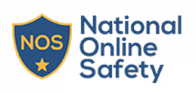 National Online Safety logo